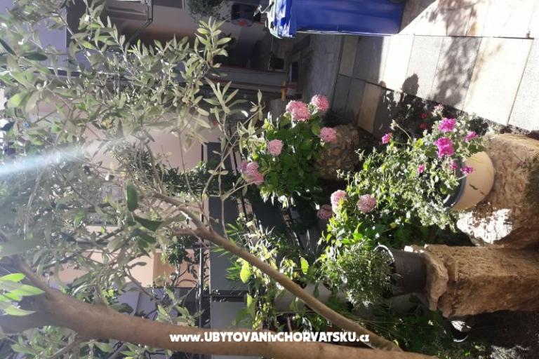Apartmani SUNI – foto 6