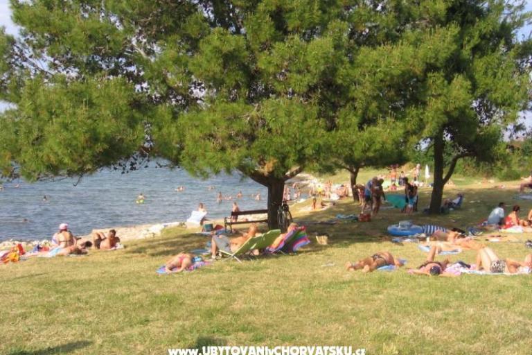 Apartmani Tomy – foto 17