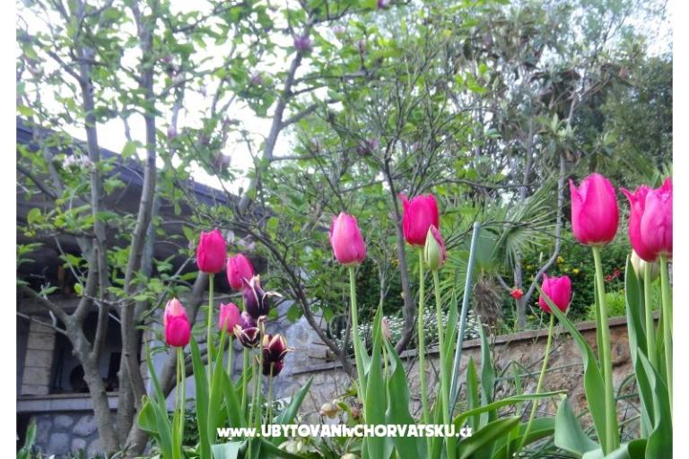 Apartmani Vera – foto 18