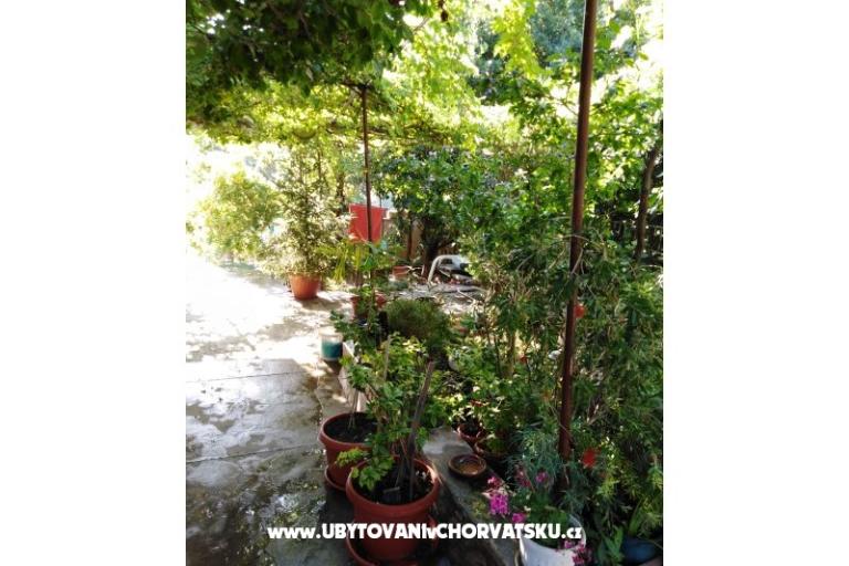 Apartman Fifi – foto 16