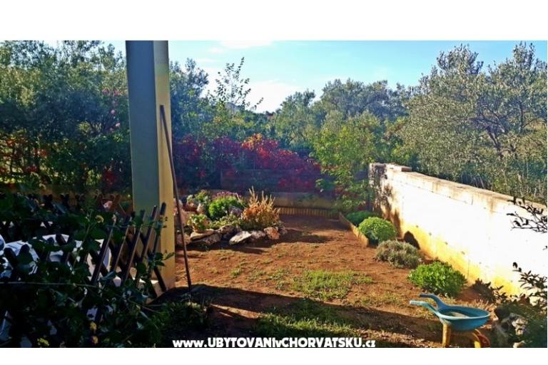 Apartman Kate – foto 9