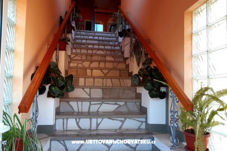 Apartmani A.Jelovčić – foto 12