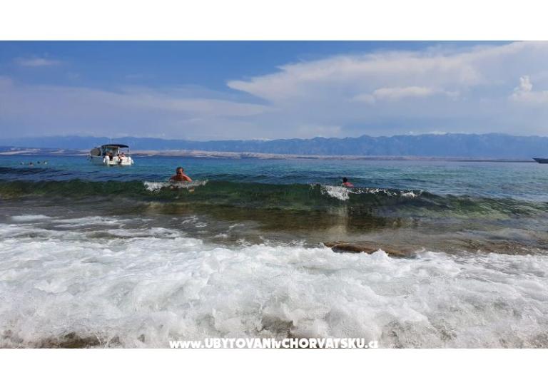 Apartman Zidaric – foto 13