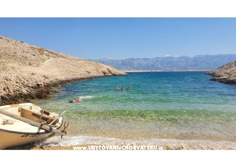 Apartman Zidaric – foto 14