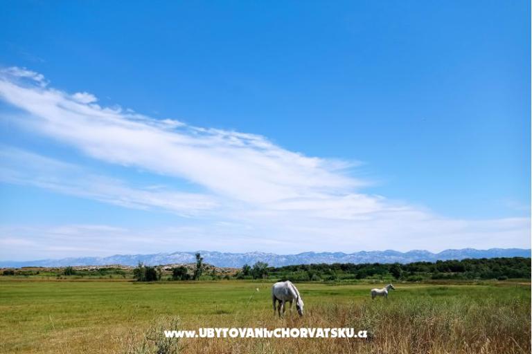 Apartman Zidaric – foto 15