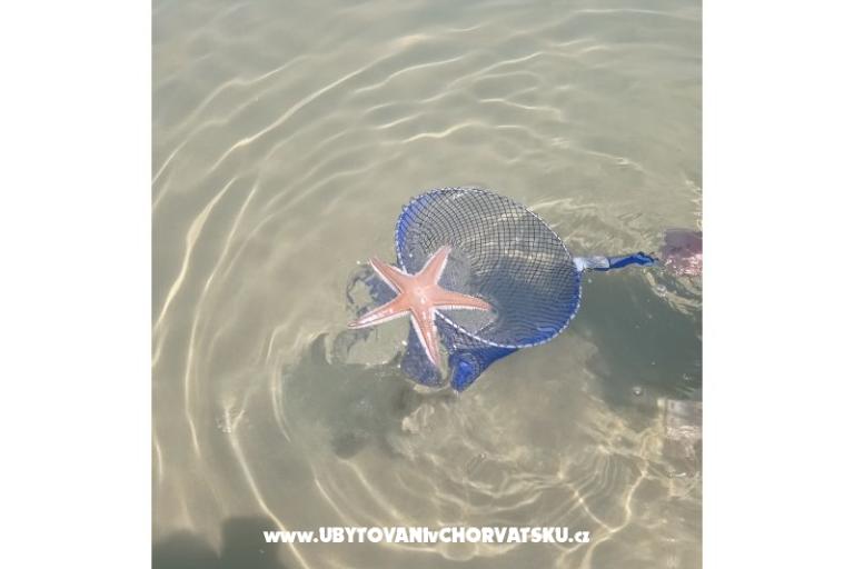 Apartman Zidaric – foto 18