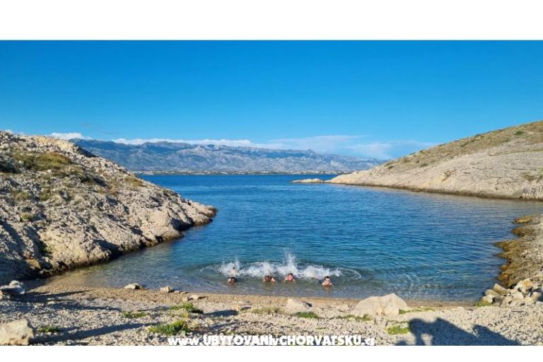 Apartman Zidaric – foto 19