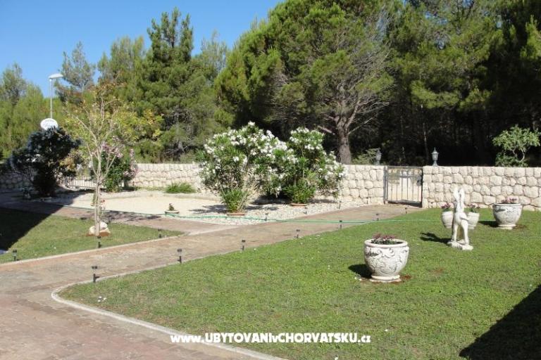 Apartmani Dario – foto 12