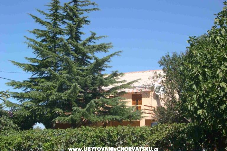 Apartmani Mrdelja – foto 2