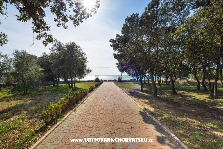 Apartmani RIVa – foto 3