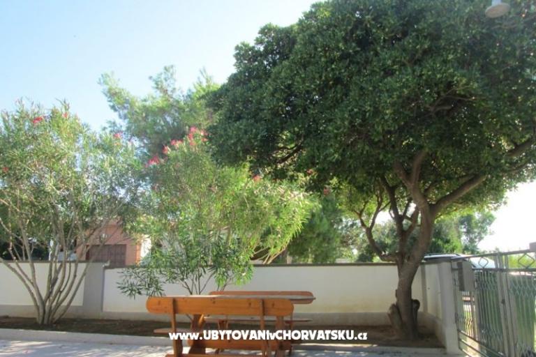 Apartmani Roza – foto 9