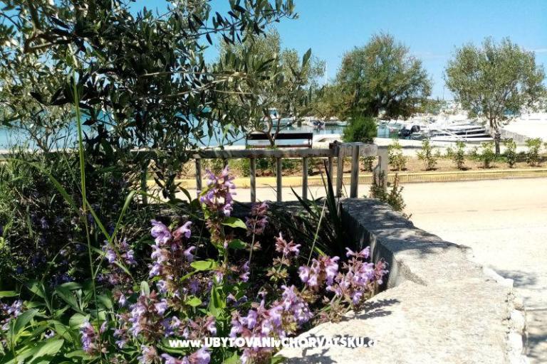 Apartmani Skoljic – foto 12