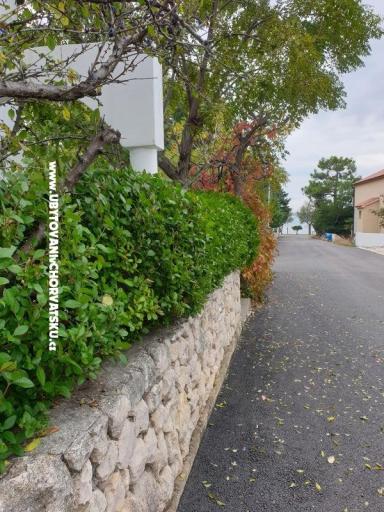 Apartmani Ana – foto 3