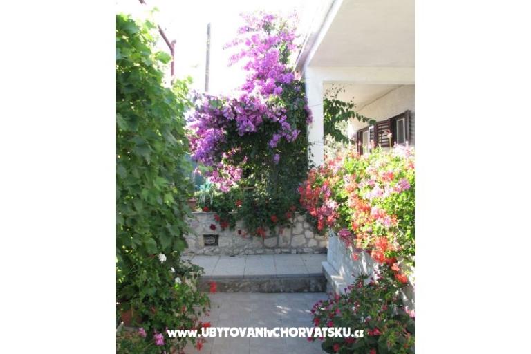Apartmani Baras – foto 6
