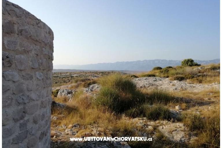 Apartmani Seaside – foto 16