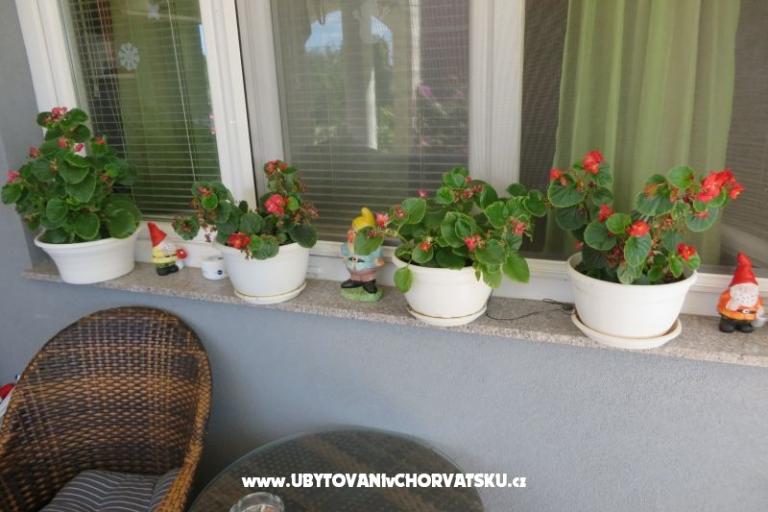 Apartmani Renata – foto 5