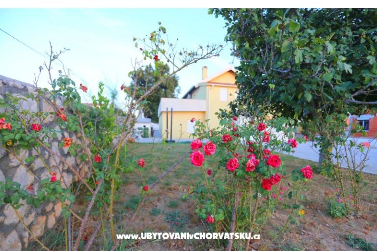 Apartman Novak Rudic – foto 2