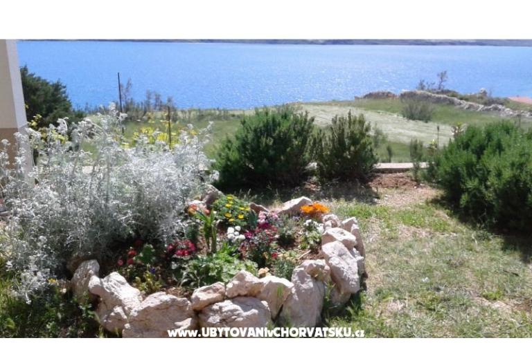 Apartmani Ante – foto 5