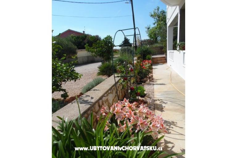 Apartmani Dabo – foto 11
