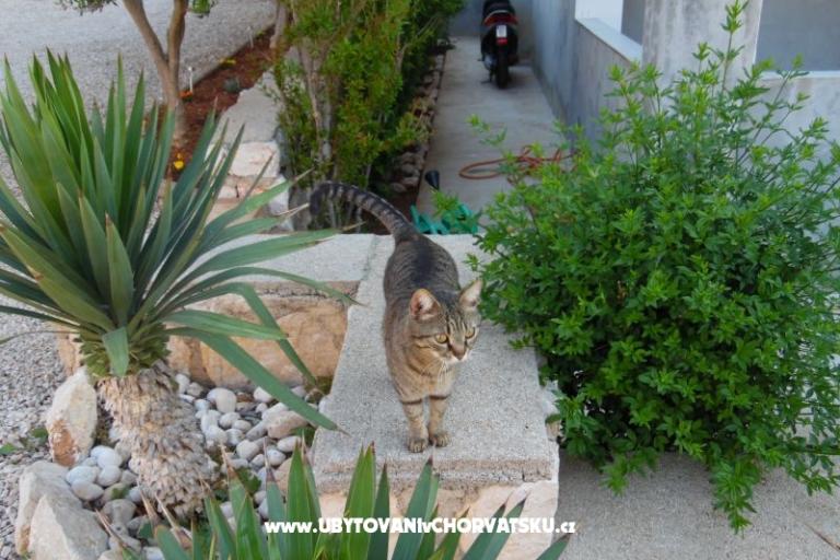 Apartmani Dabo – foto 19