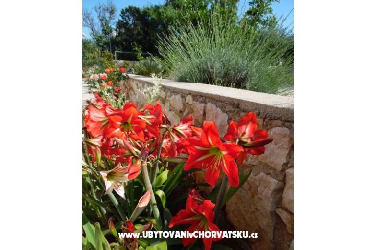 Apartmani Dabo – foto 5