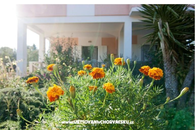 Apartmani Danijela – foto 17