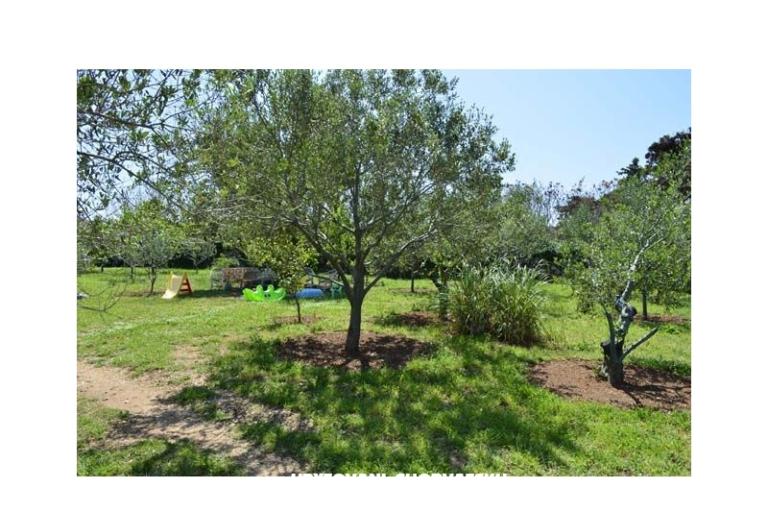 Apartmani Danijela – foto 6