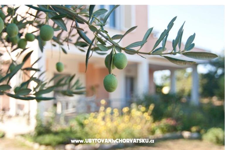 Apartmani Danijela – foto 7