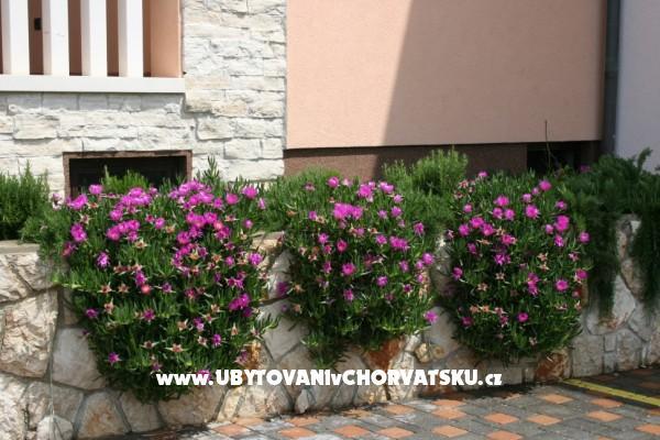Apartmani Grga – foto 5