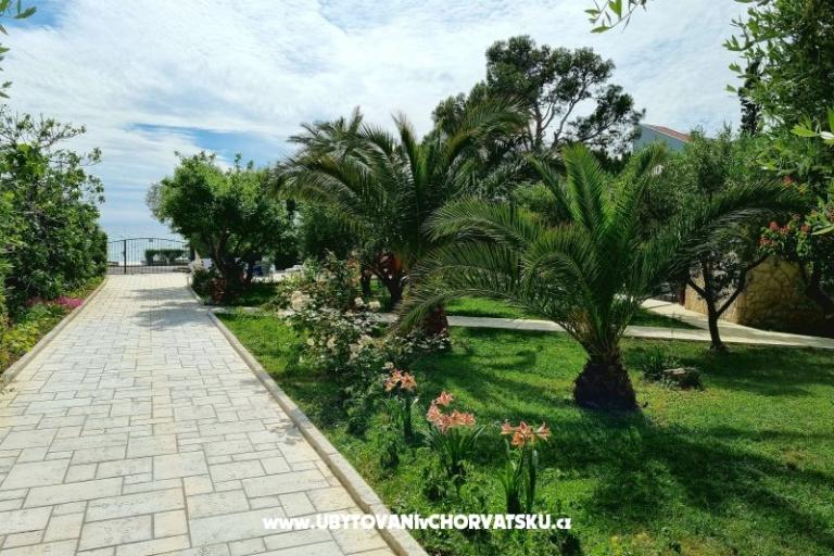Apartmani Ostrea – foto 15