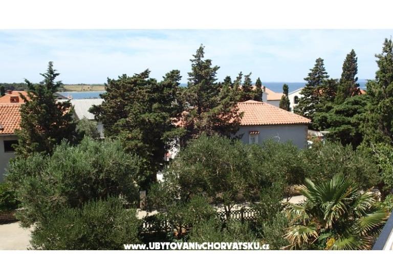 Apartmani Tatjana Borović – foto 14