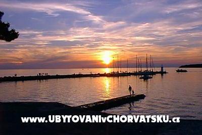 Apartman Ruža – foto 7