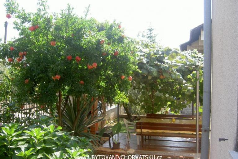 Apartmani Vošten – foto 5