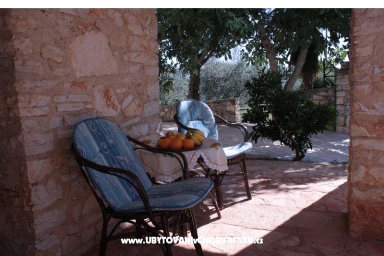 Sanja Apartmani Novigrad – foto 11