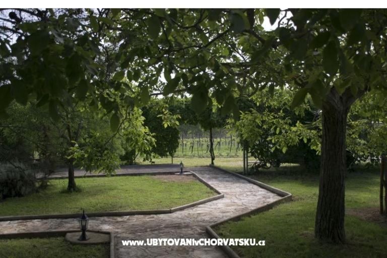 Sanja Apartmani Novigrad – foto 7