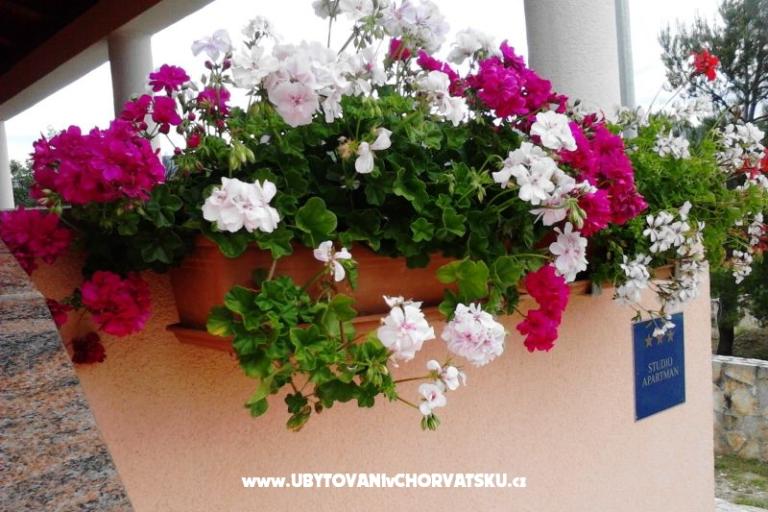 Apartman Jasna – foto 14