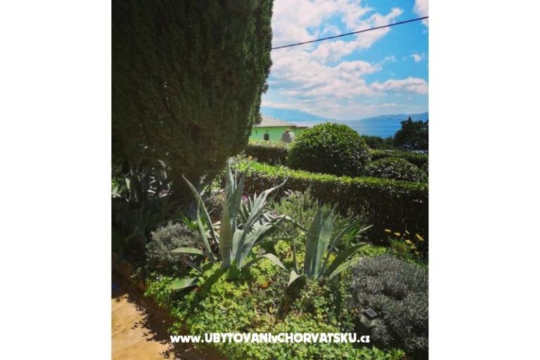 Apartmani BUTKOVIĆ DUBRAVKA – foto 10