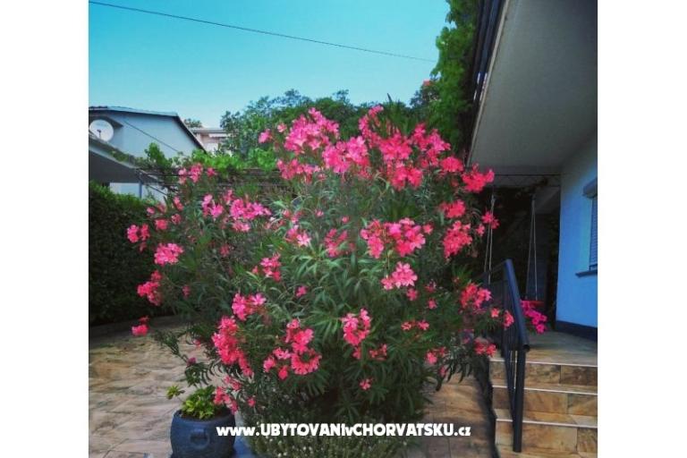Apartmani BUTKOVIĆ DUBRAVKA – foto 12