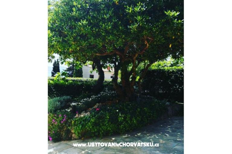 Apartmani BUTKOVIĆ DUBRAVKA – foto 13