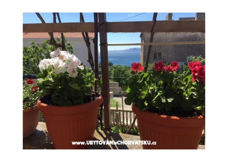 Apartmani Marijana – foto 17