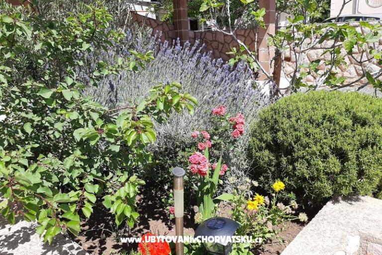Apartmani Pavelić – foto 6