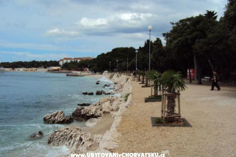 Zeleni gaj rooms &amp; apartment – foto 2