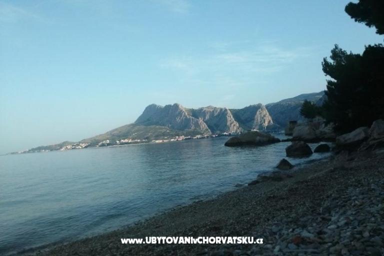 Apartman 1 – foto 5