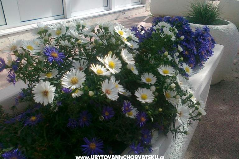 Apartman ANKA S. – foto 8