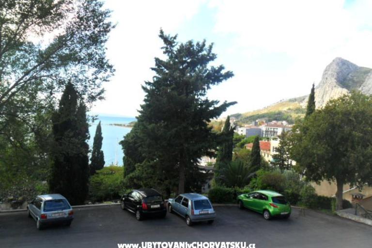 Apartman Popović – foto 9