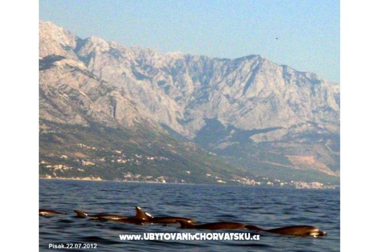 Apartmani  MARICA – foto 17