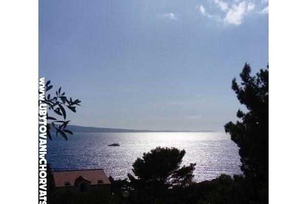 Apartmani AGAVA – foto 17