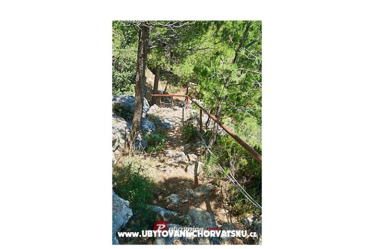 Apartmani AGAVA – foto 21