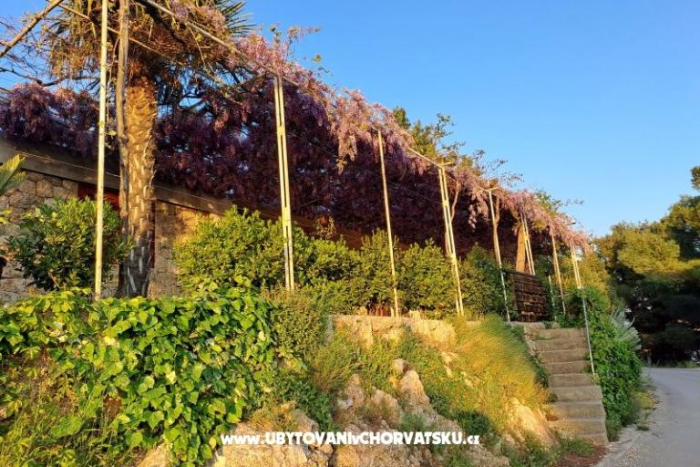 Apartmani AGAVA – foto 24