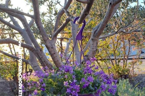 Apartmani AGAVA – foto 25